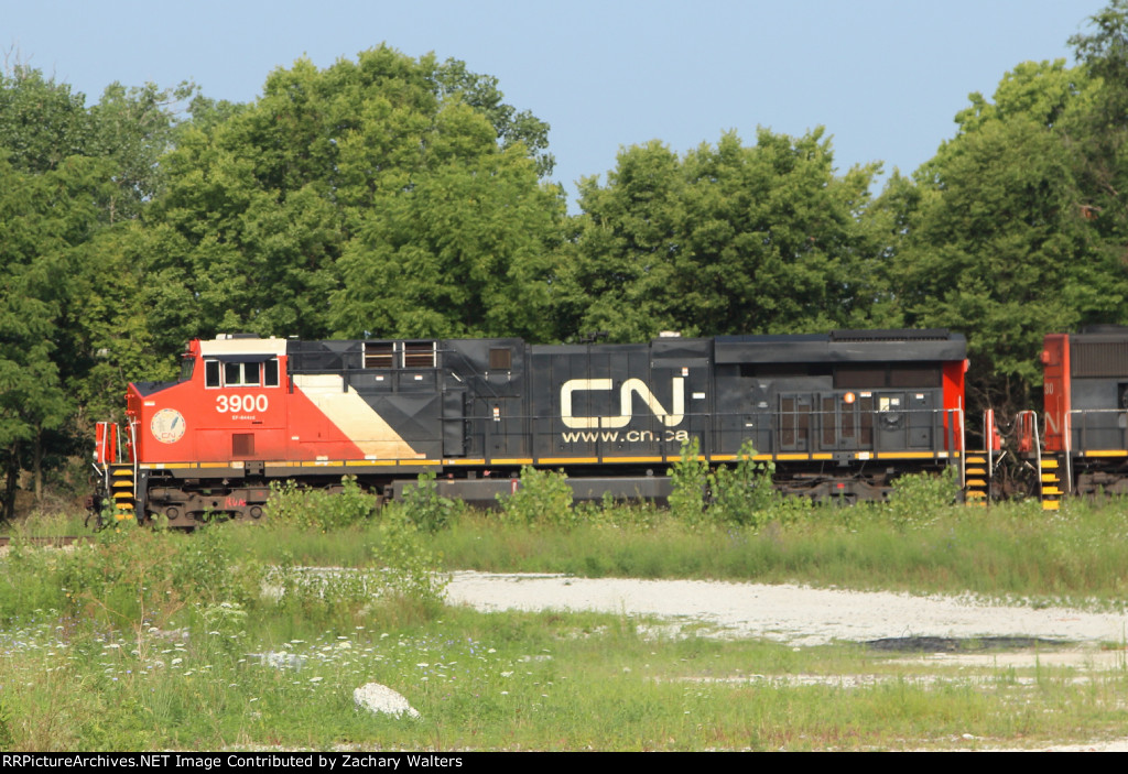 CN 3900